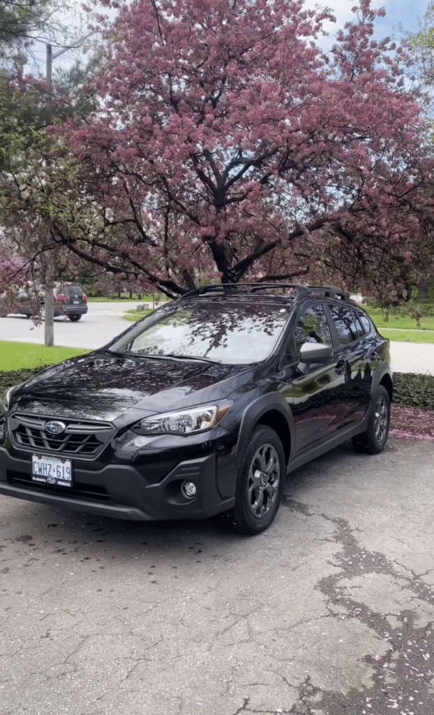 Subaru Outback Full Detail